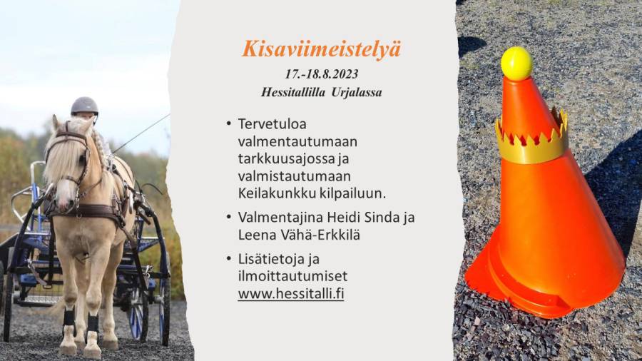 kisaviimeistelyae_mainos.jpg