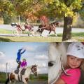 5e226eba-5d6c-4bfb-8937-b6d8ec7616f3.jpeg