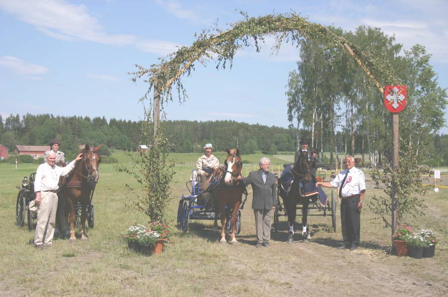 aluemestarivaljakko2006hevoset.jpg