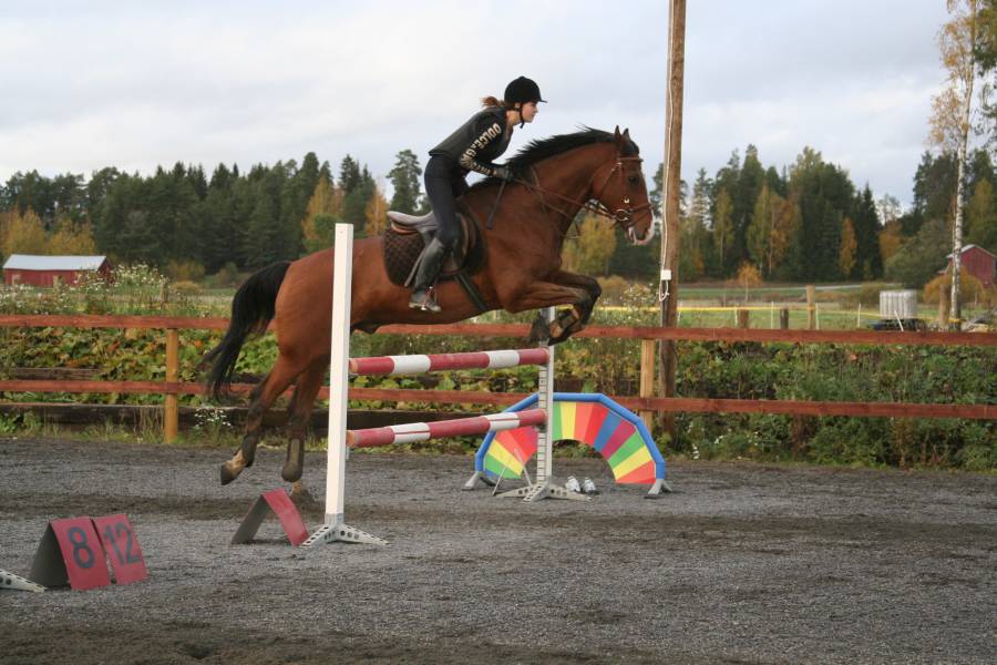 sonia_tarantini_081006.jpg