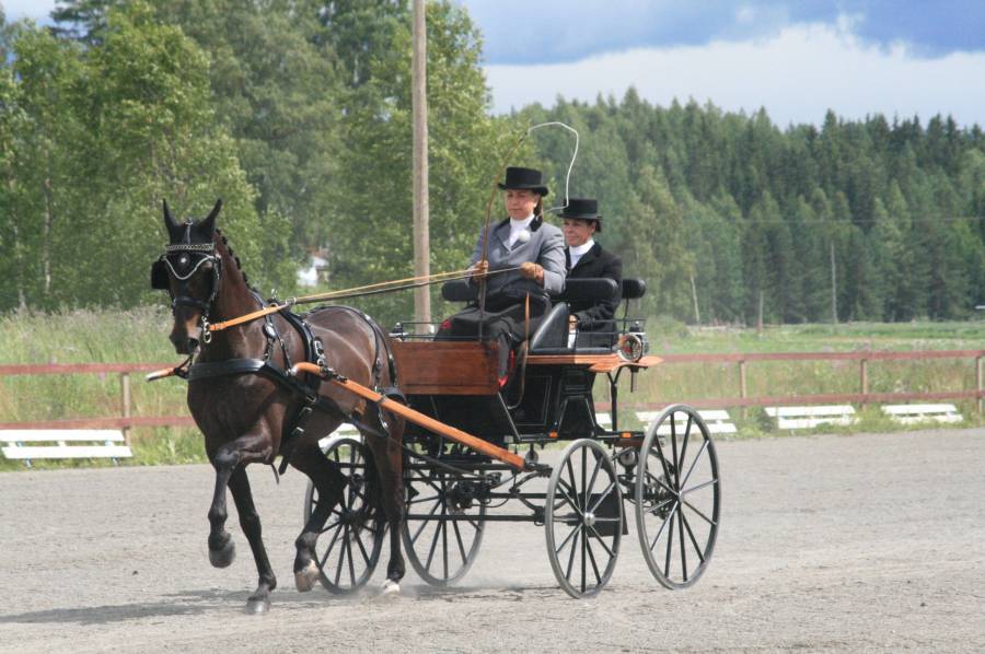 nelsson1807.jpg