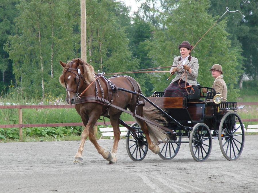 petoja_hansu.jpg