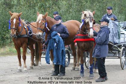 ransu_nn_ja_silu_palkjako2909.jpg