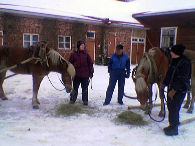 ronja_ja_liinu0402.jpg