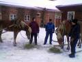 ronja_ja_liinu0402.jpg