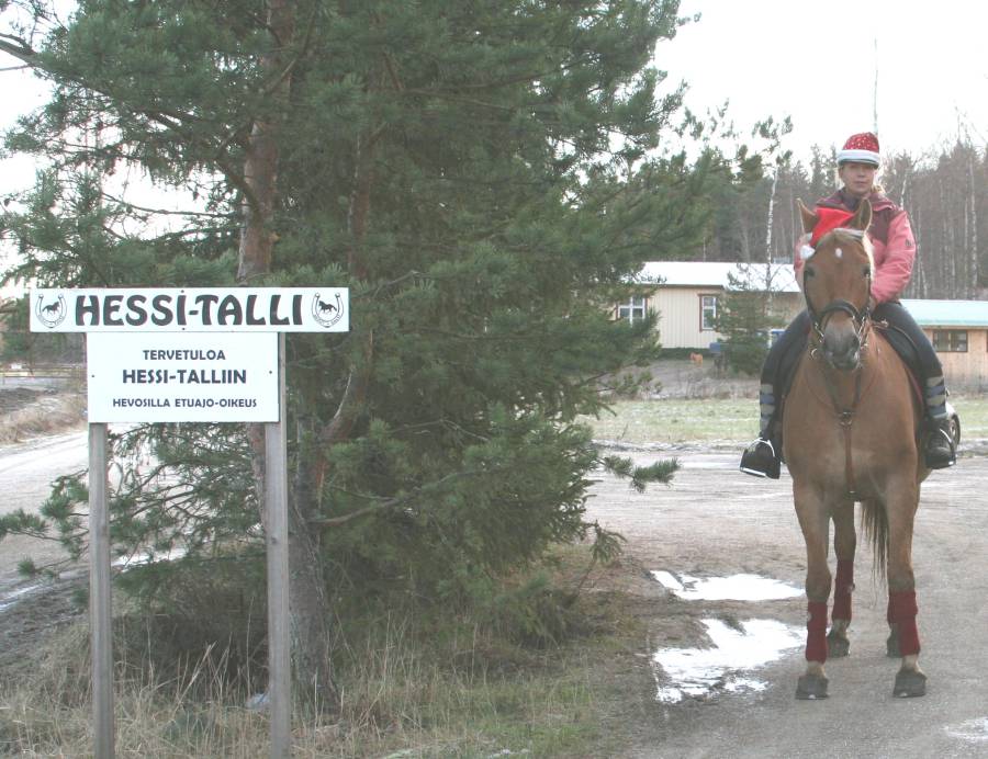 tyyne_tervetuloakyltillae.jpg