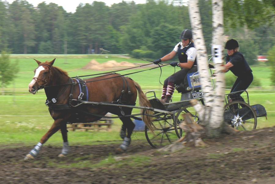 vahdotar1407saareke.jpg