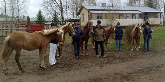 varsatnaeyttely0905.jpg