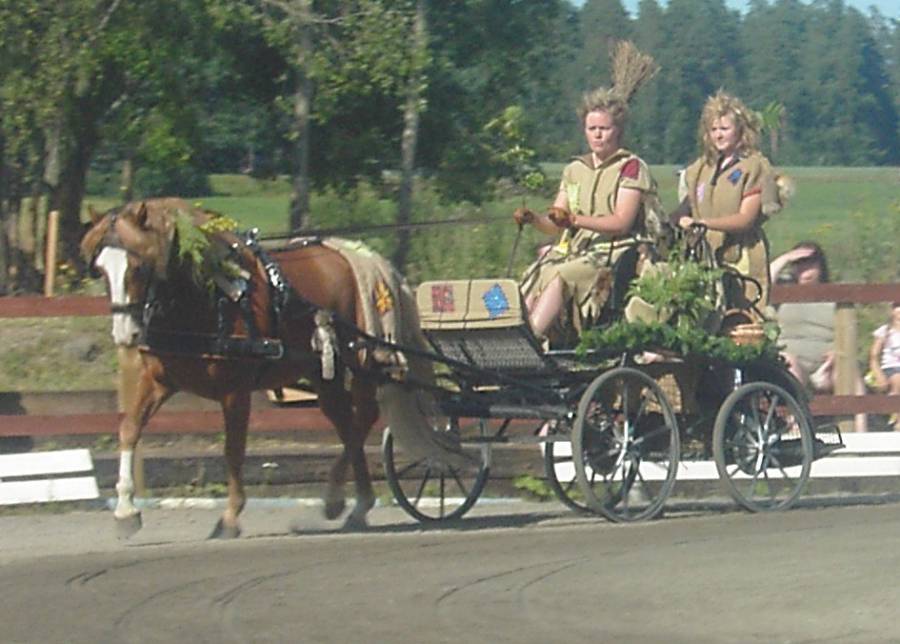 viapeikko.jpg