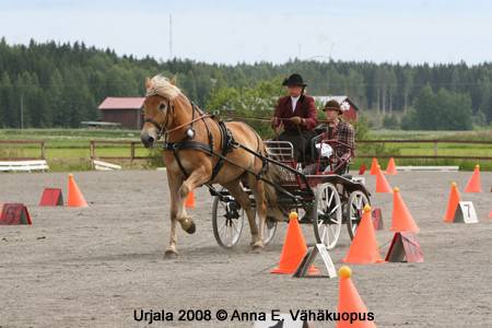 viperotarkkuus2007.jpg